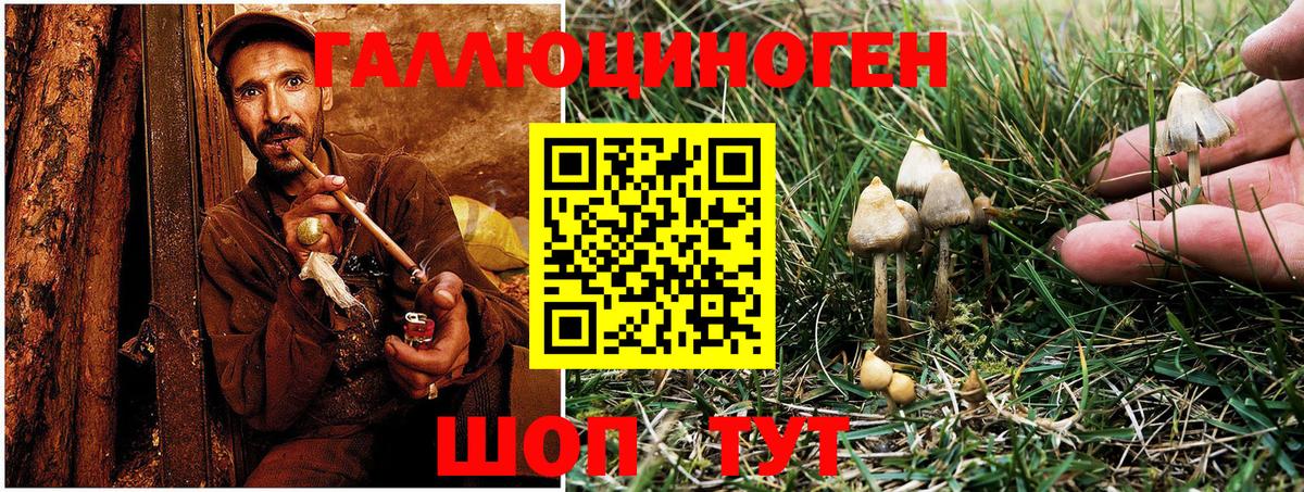 Реутов  Псилоцибиновые грибы Magic Shrooms  Псилоцибиновые грибы мухоморы  Вход с VPN 